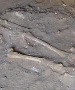 Ученые обнаружили скелет с признаками рака 3000-летней давности