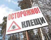 Клещевой энцефалит в Московской области