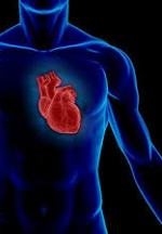 FDA одобряет применение  стволовых клеток для лечения болезней сердца!