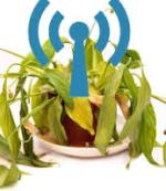 Wi-Fi убивает растения?