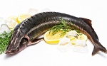 Средиземноморская диета полезна для мозга