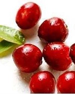 Обнаружены новые полезные свойства клюквы